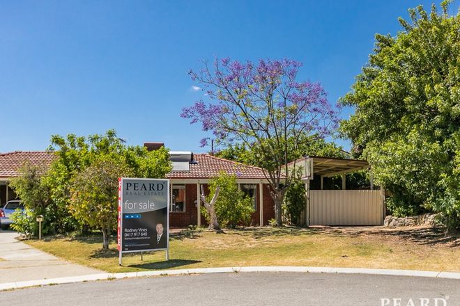 Picture of 7a Camelia Court, GREENWOOD WA 6024