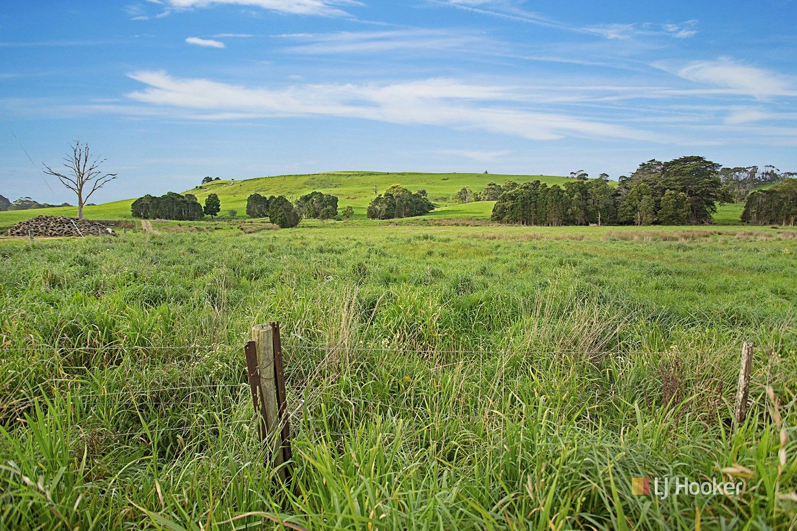 Lot 1 Preolenna Road, Flowerdale TAS 7325, Image 0