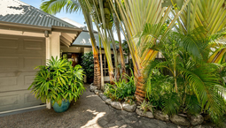 Picture of 8 Oliva Street, PALM COVE QLD 4879