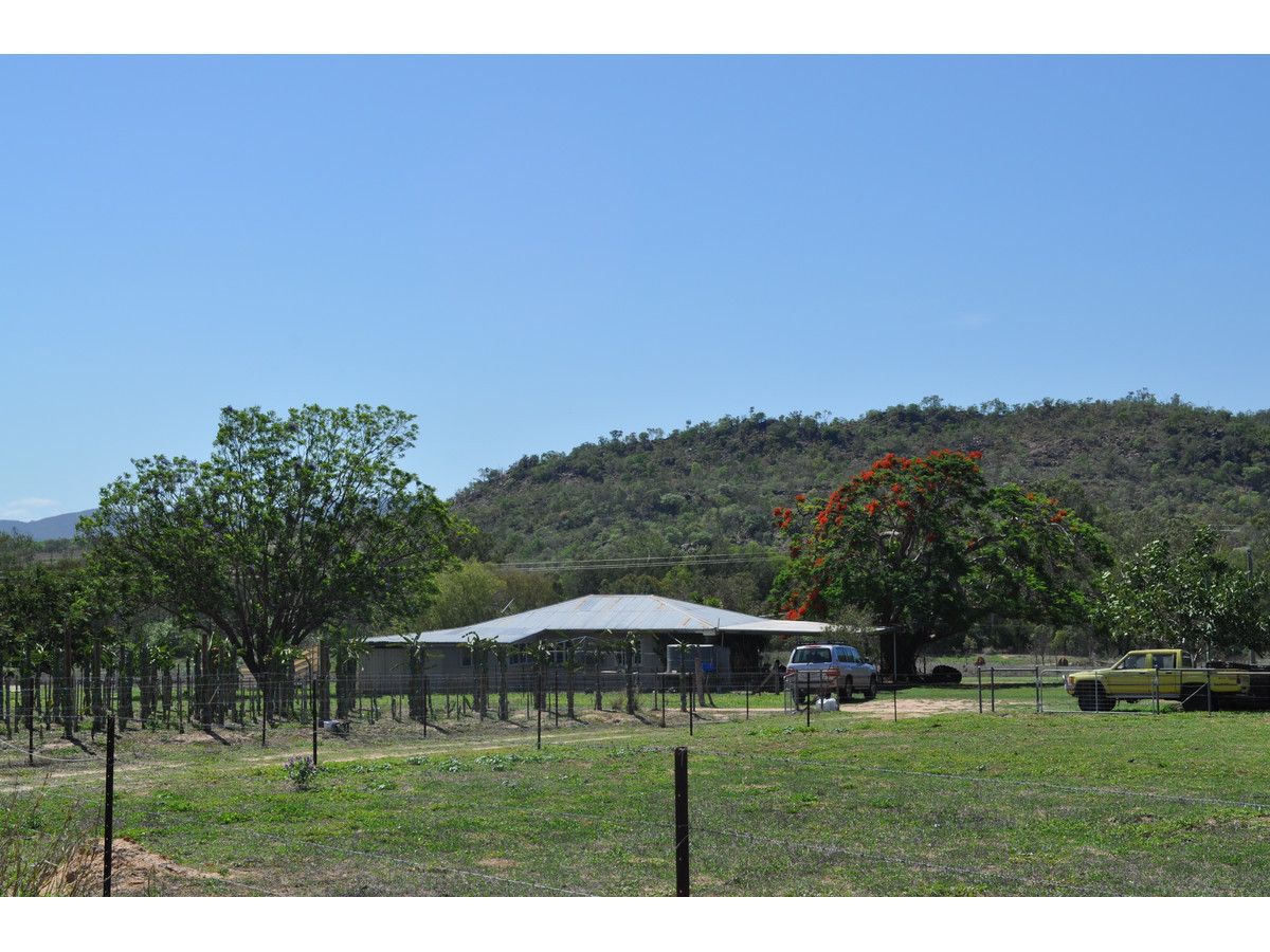 836 Wolfram Road, Dimbulah QLD 4872 House for Sale Domain