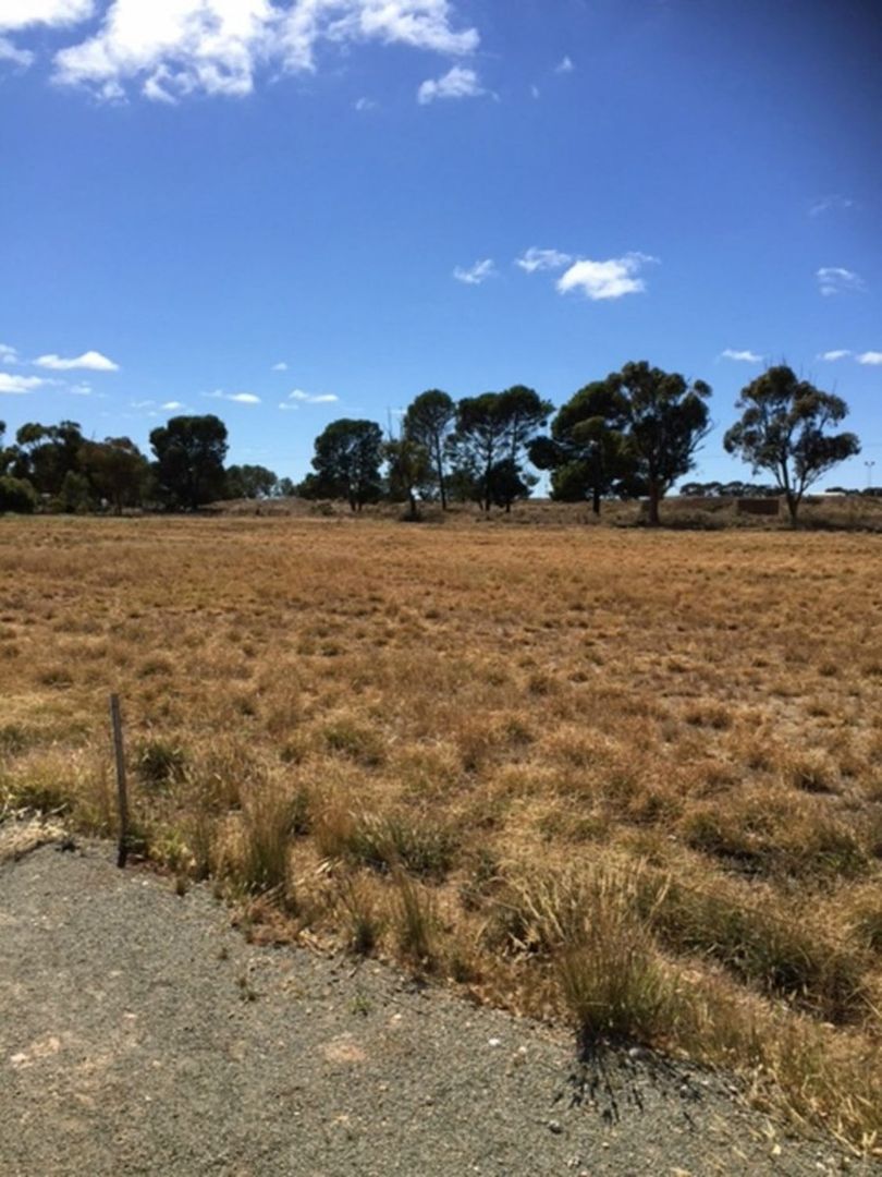 Lot 31 William Street, Booleroo Centre SA 5482, Image 1