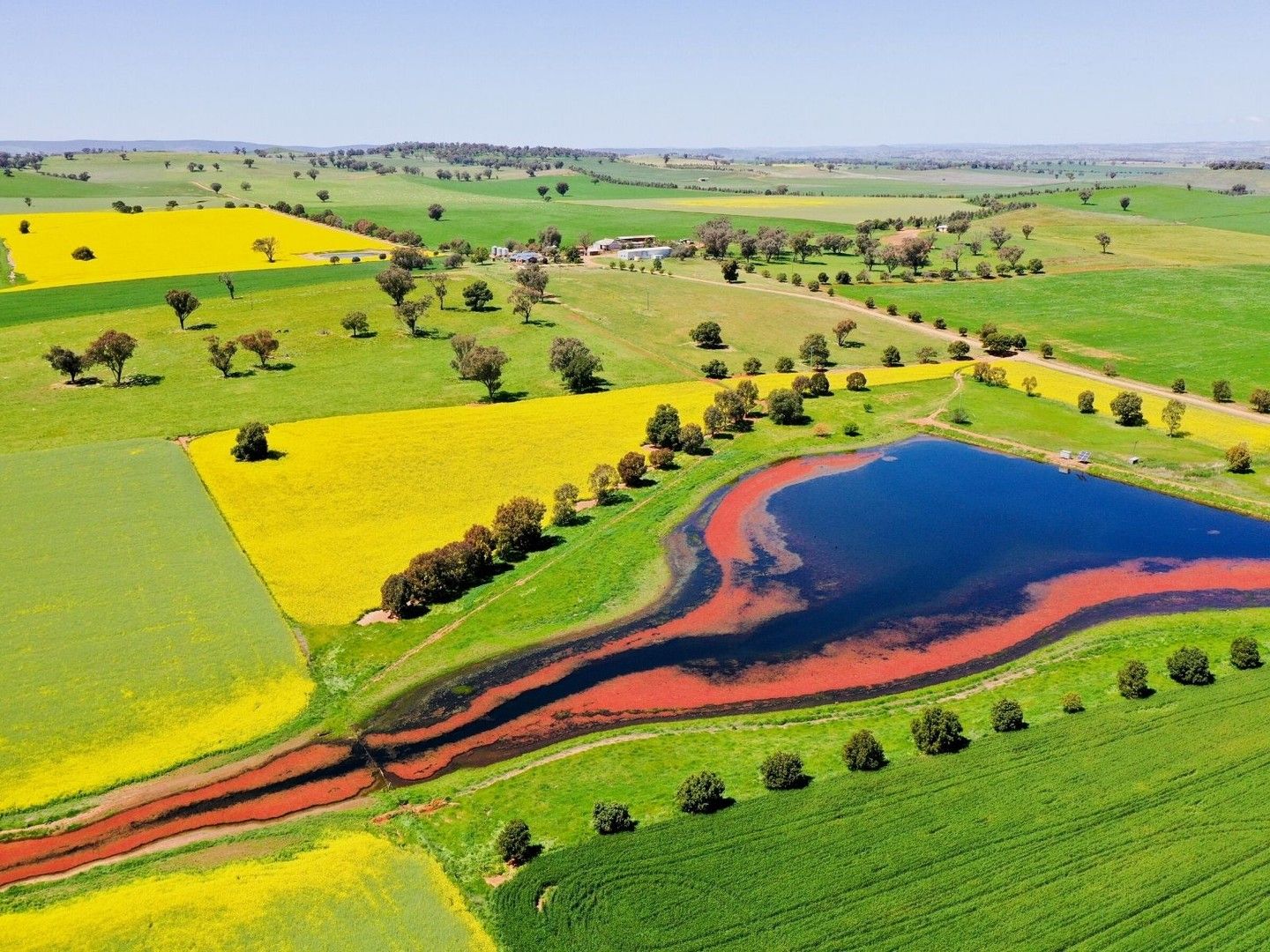 Canowindra NSW 2804, Image 0