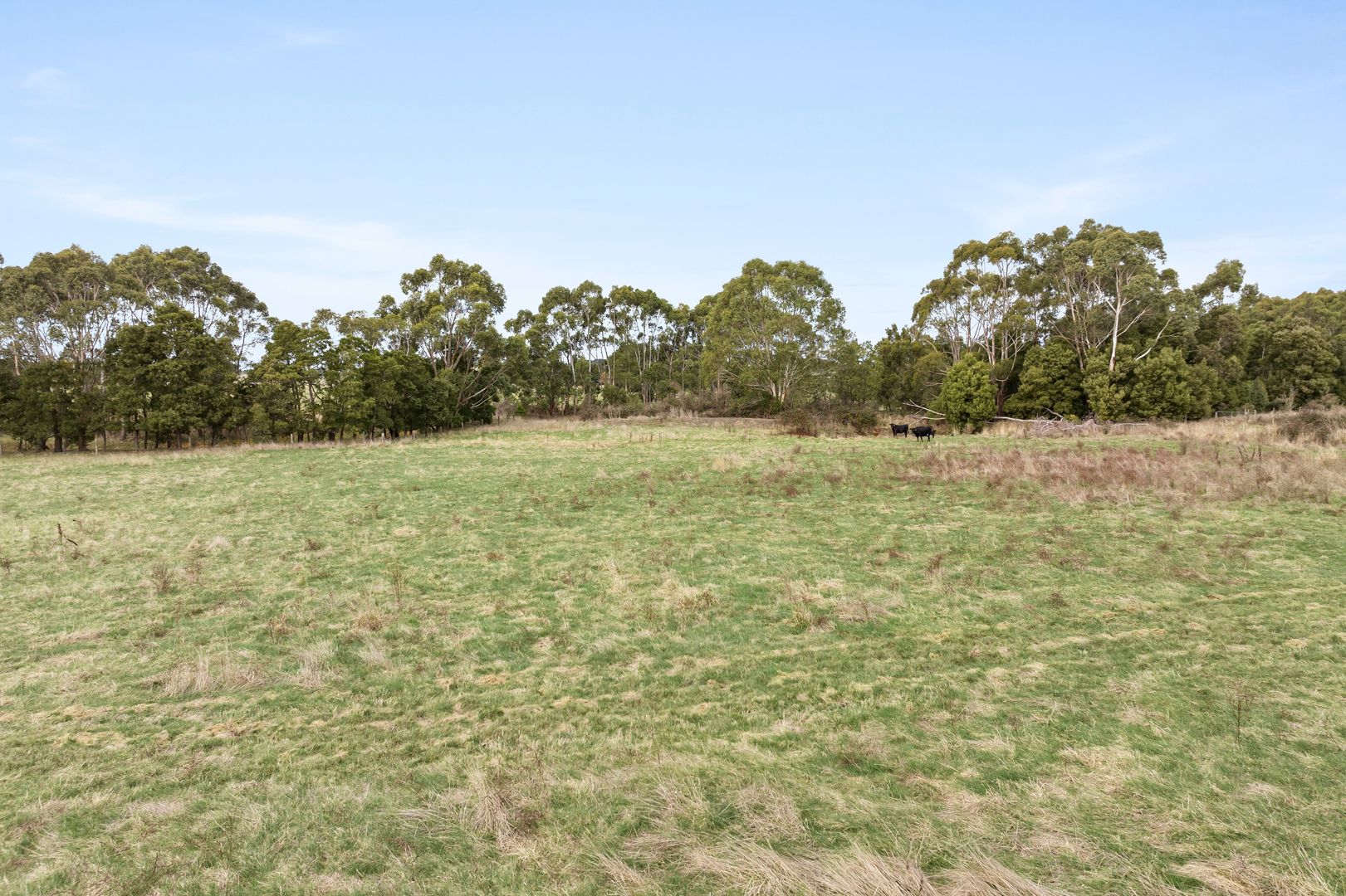 30 Ryans Rd, Pirron Yallock VIC 3249, Image 2