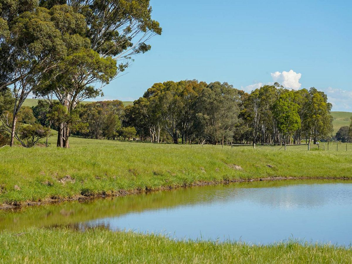 Corner Glenelg Highway & Den Hills Road, Coleraine VIC 3315, Image 1