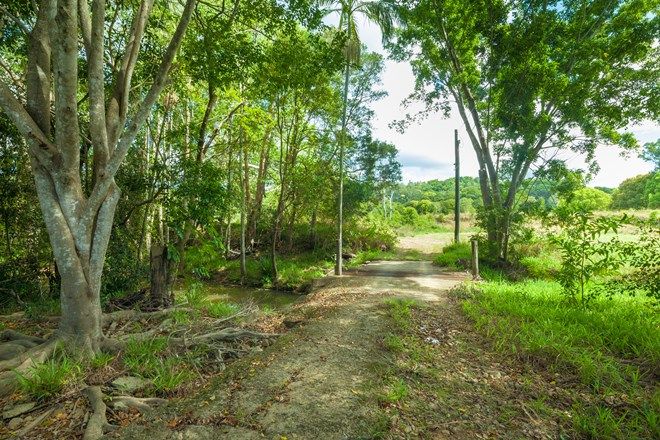 Picture of Lot 2 Strong Lane, EERWAH VALE QLD 4562