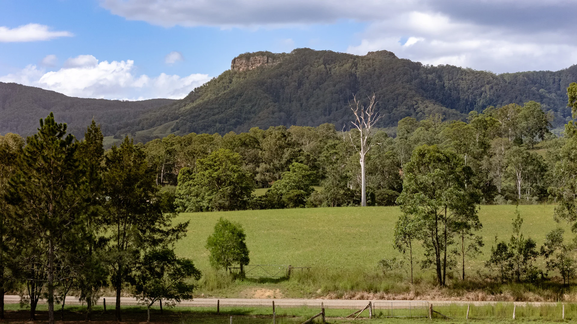 Additional image 11 of 778 Central Lansdowne Road, Upper Lansdowne NSW 2430