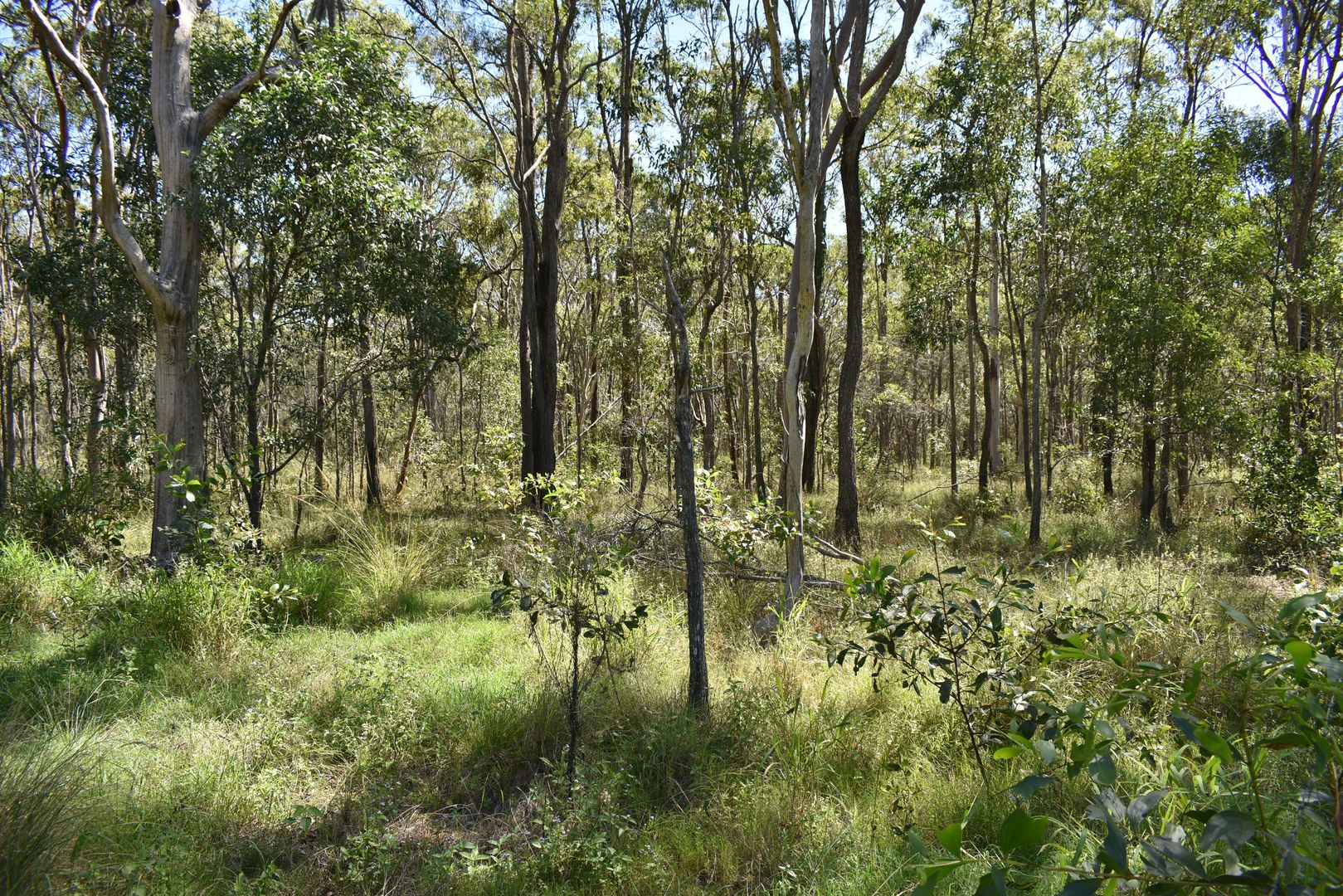 Lot 1 Bruce Highway, Aldershot QLD 4650 Vacant Land for Sale 620,000
