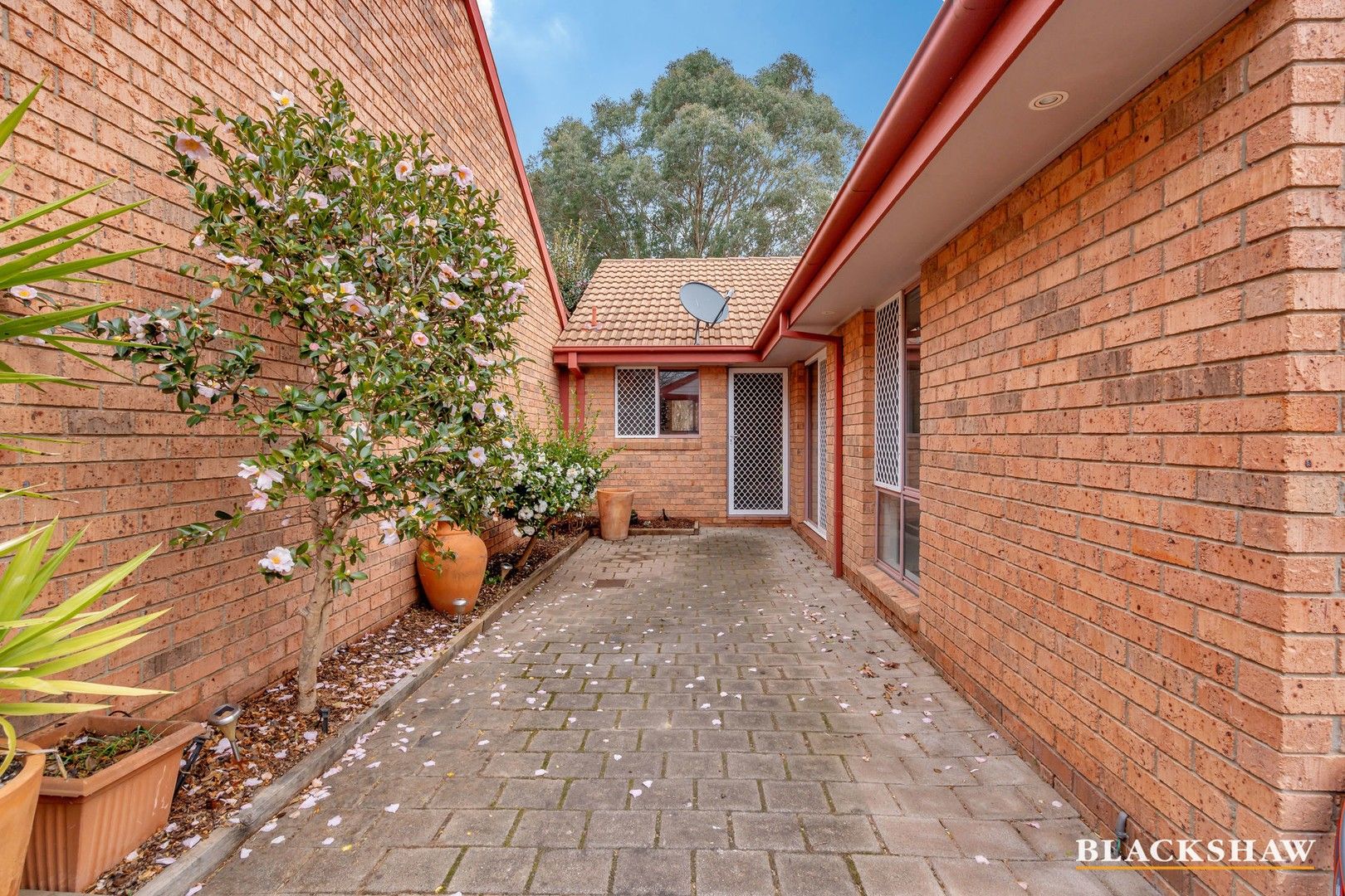 140 De Little Circuit, Greenway ACT 2900 Townhouse For Rent Domain