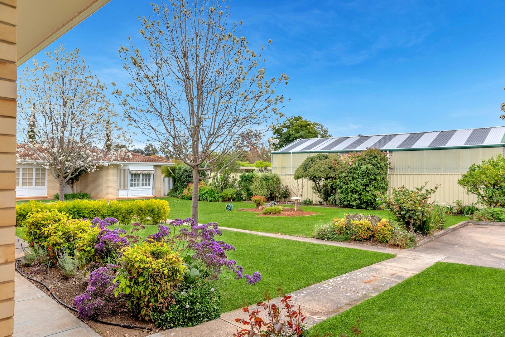 2 bedrooms Apartment / Unit / Flat in 3/115 Allinga Avenue GLENUNGA SA, 5064