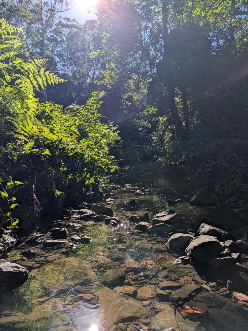 Image 12