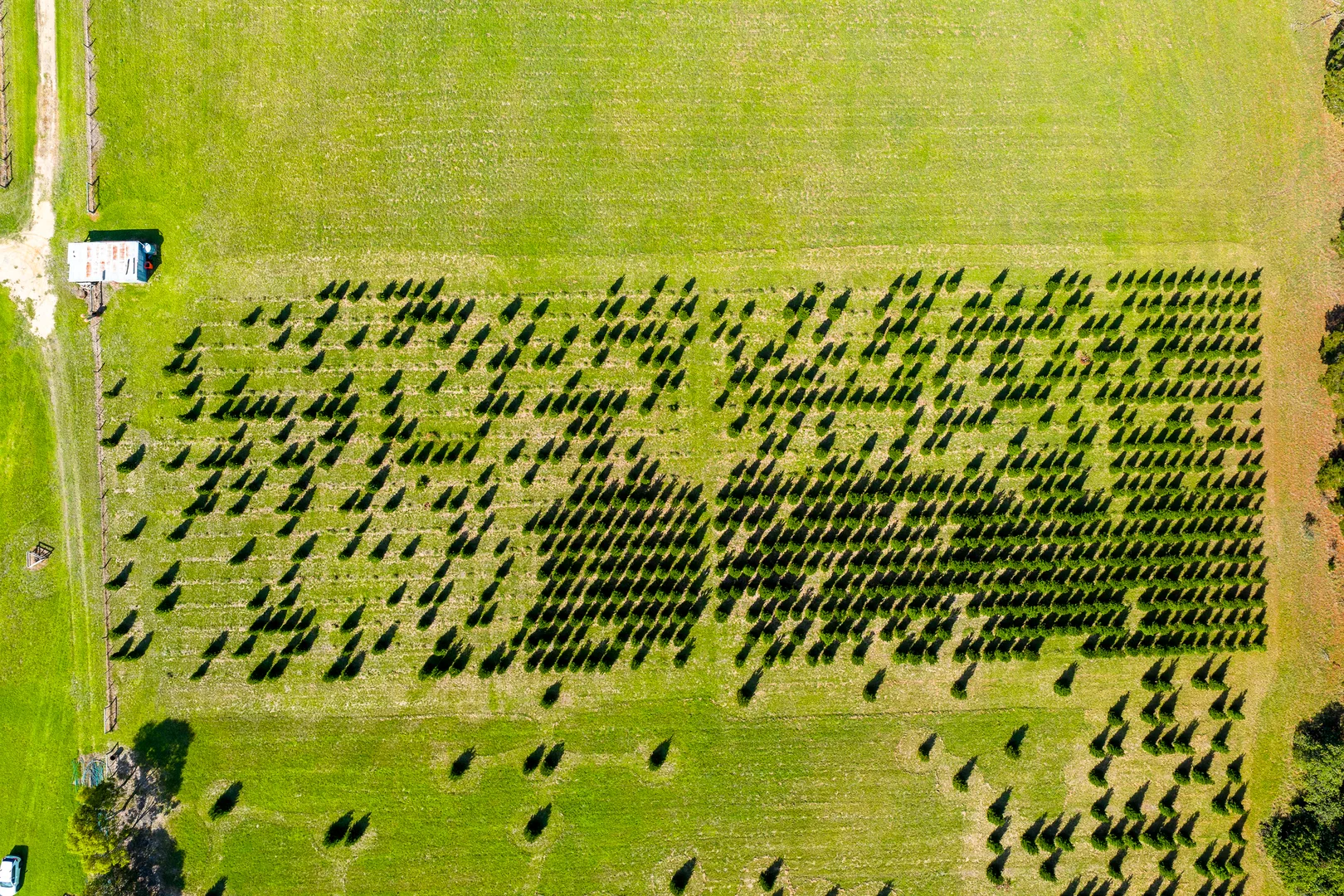 Additional image 17 of 185 McNamaras Road, Sarsfield VIC 3875