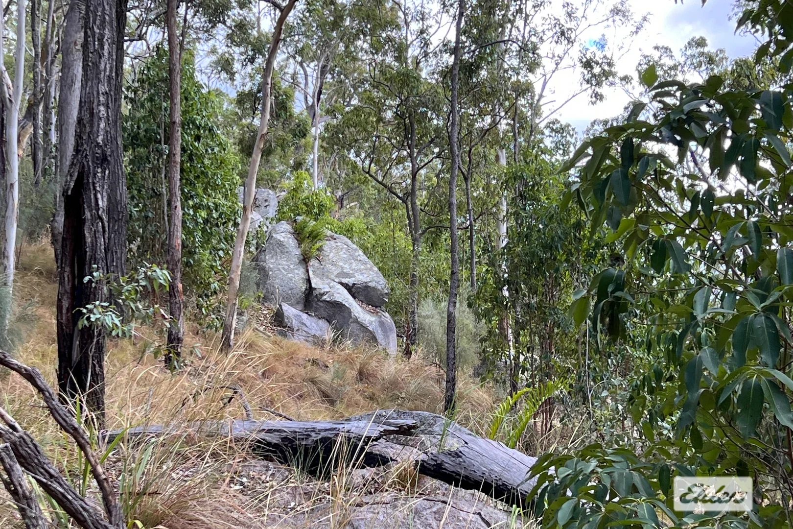 Image 14