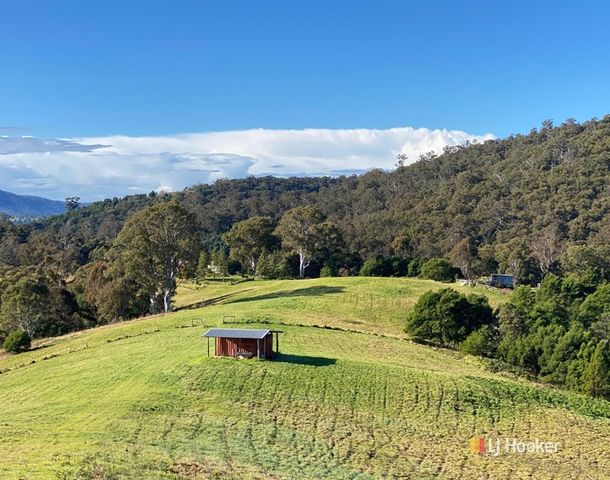 323 Hawks Head Road, Brogo NSW 2550