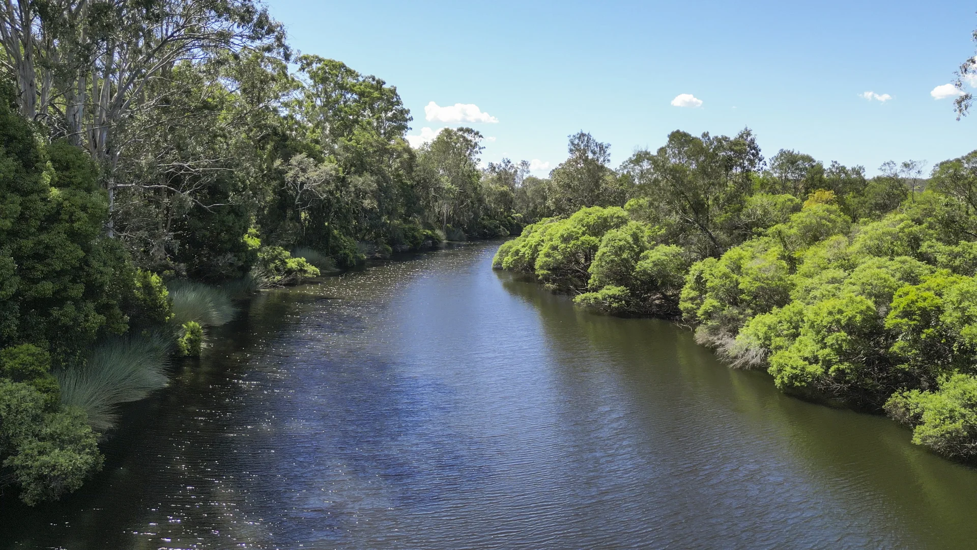 Additional image 22 of 95 Sunnyside Road, Pillar Valley NSW 2462