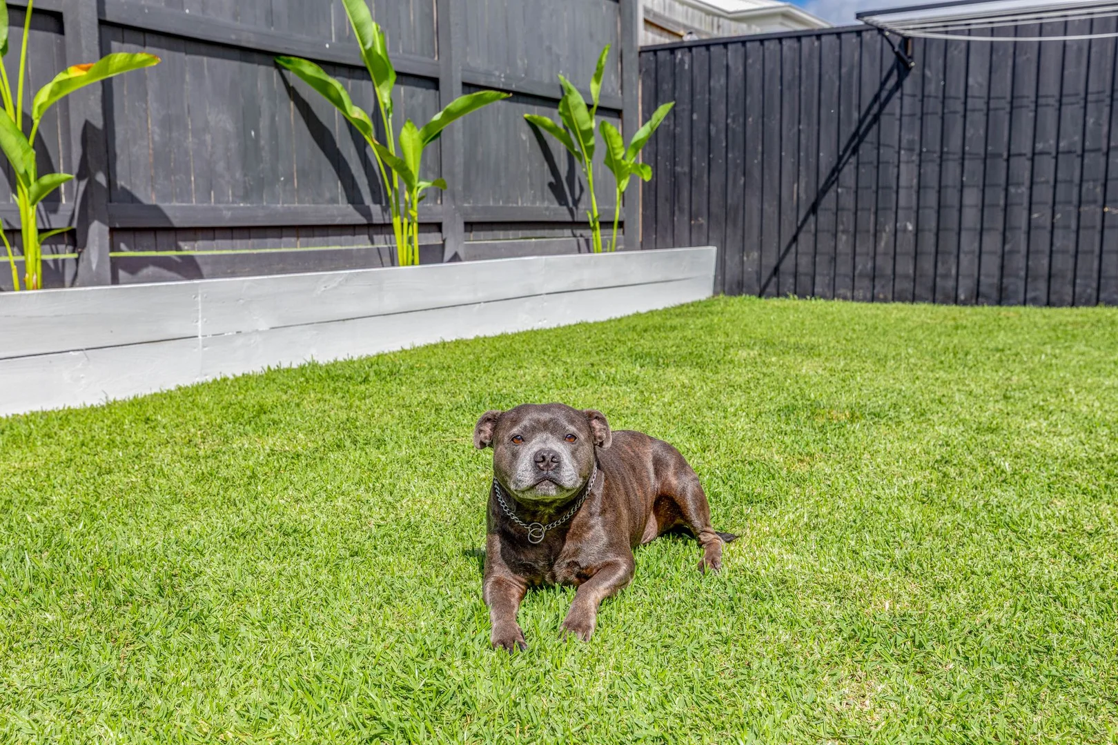 Additional image 11 of 19 Conway Crescent, Banya QLD 4551