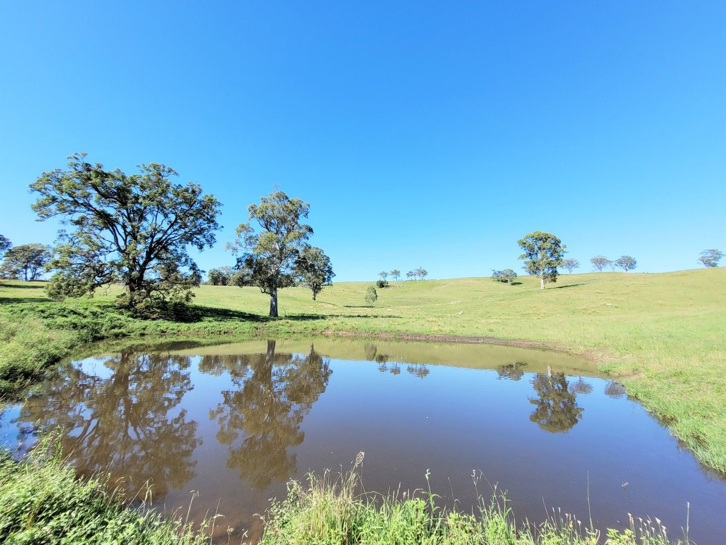 Lot 3 Neringla Road, Neringla NSW 2622, Image 1