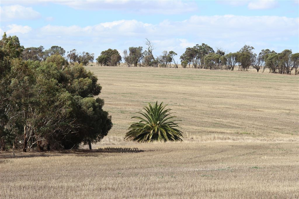 Woodanilling WA 6316, Image 2