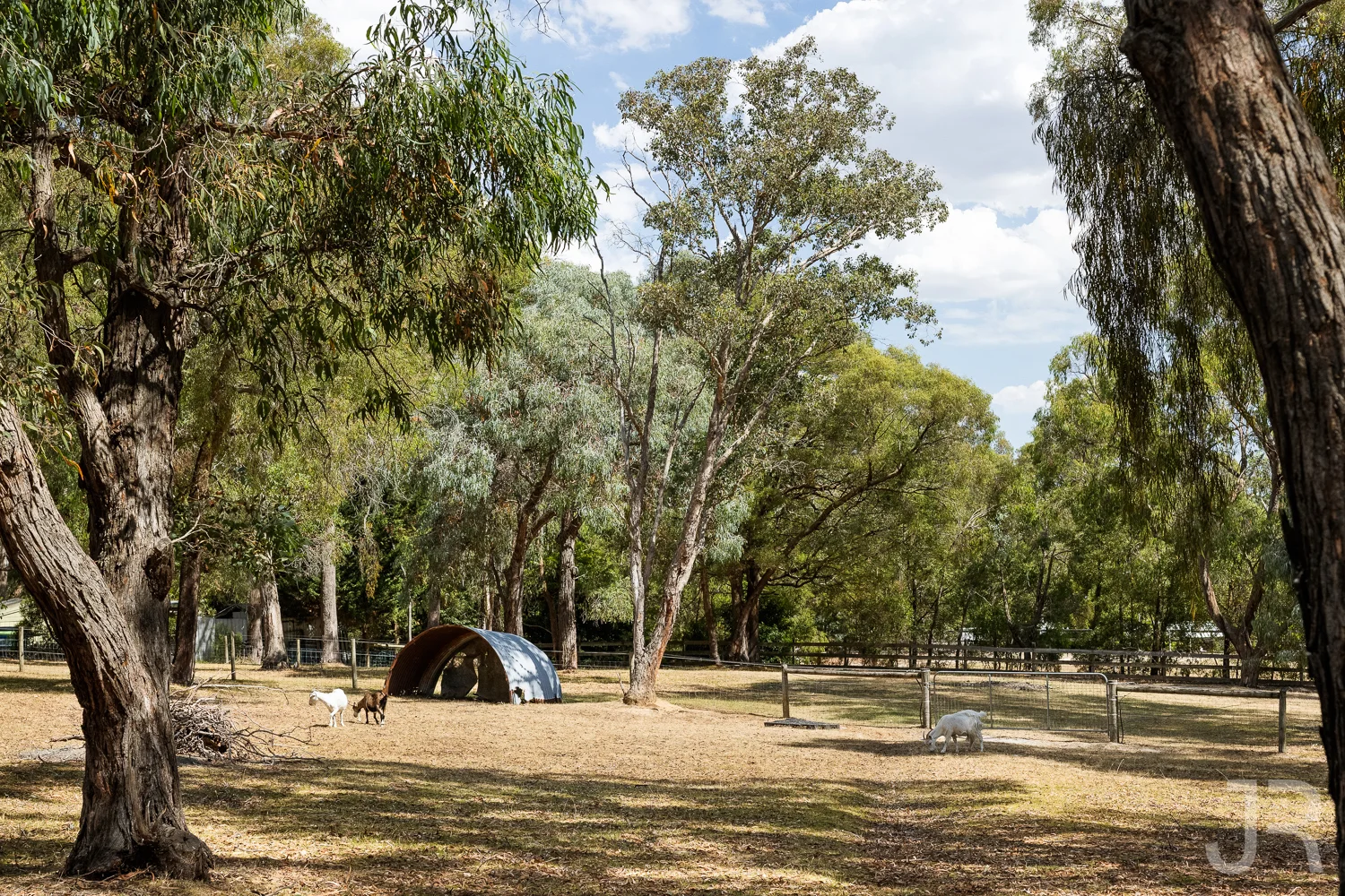 Image 14