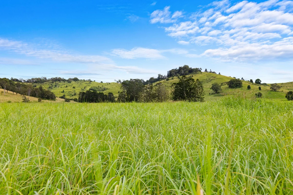 Additional image 22 of 35 Somerville Road, Blakebrook NSW 2480