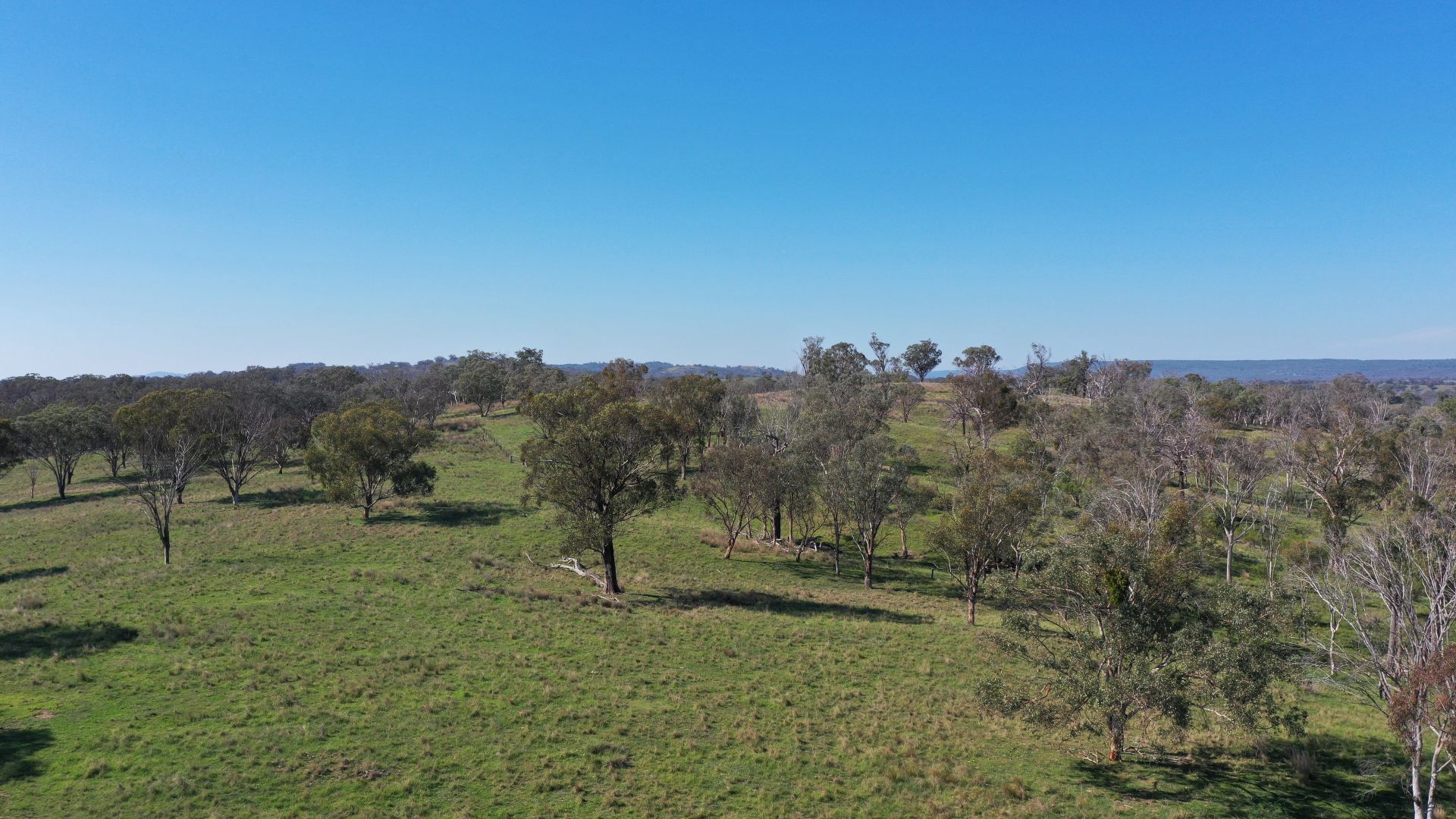 216 Mt Drummond Road, Bundarra NSW 2359, Image 2