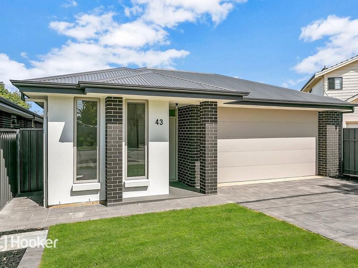 43 Minkie Avenue, Mitchell Park SA 5043, Image 1