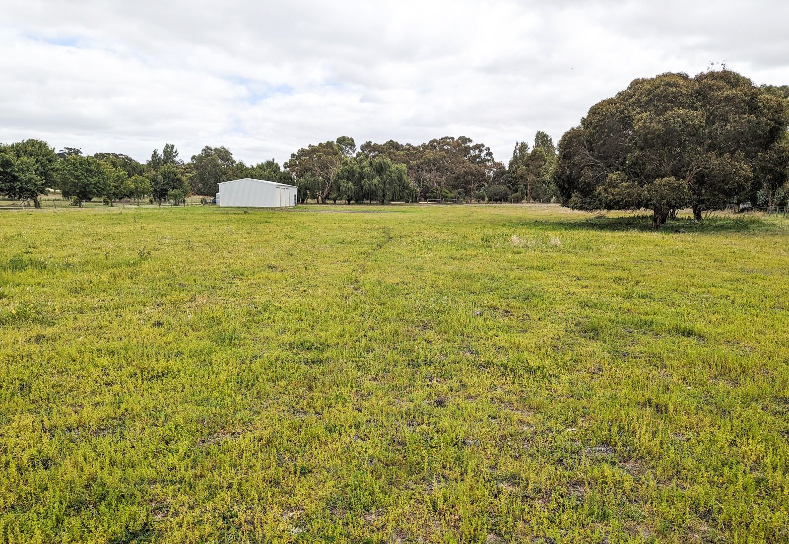 Lot 3 Wilkins Road, Naracoorte SA 5271, Image 2