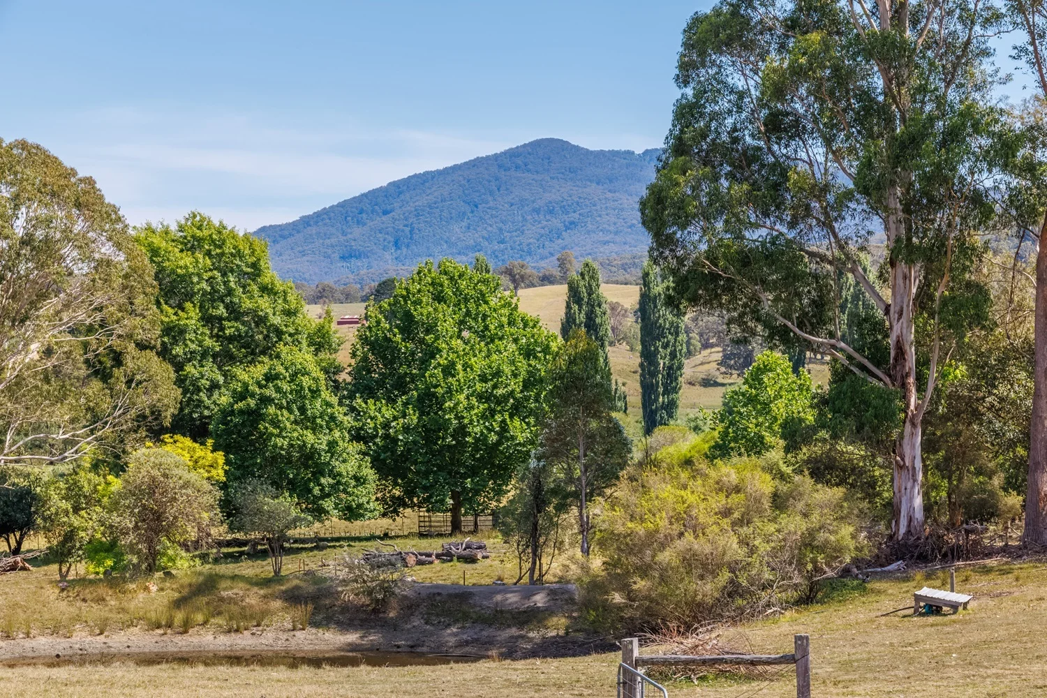 Additional image 14 of 19-21 Towamba St, Towamba NSW 2550