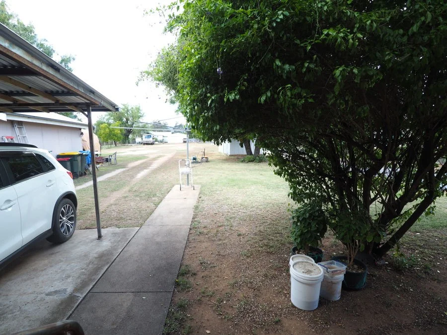Image 13