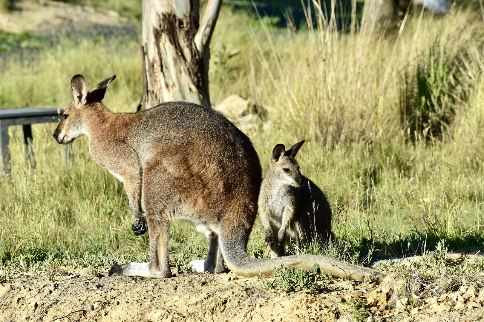 Image 18