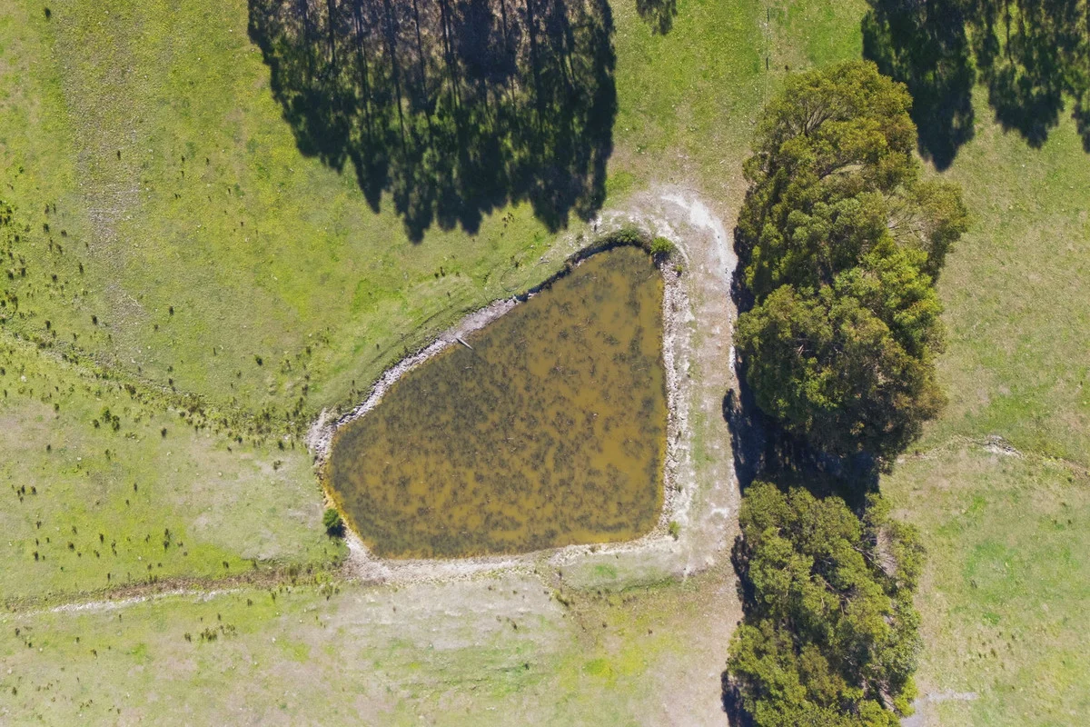 Image 29