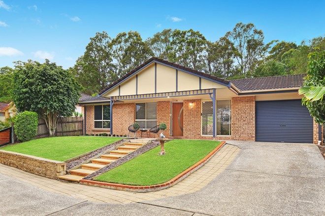 Picture of 14 Pinkwood Place, BLACKBUTT NSW 2529