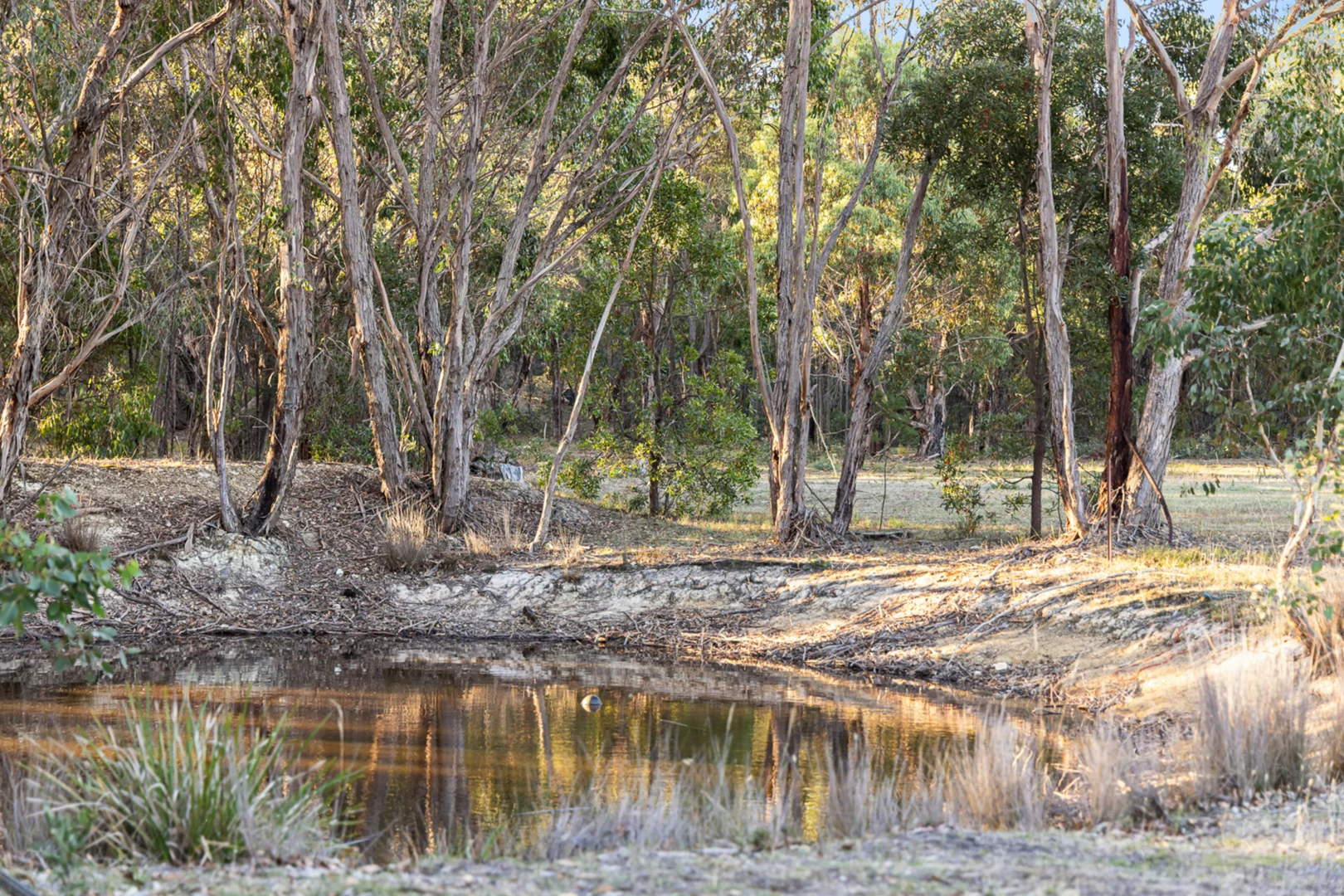 Additional image 16 of 85 Phillips Road, Smythesdale VIC 3351