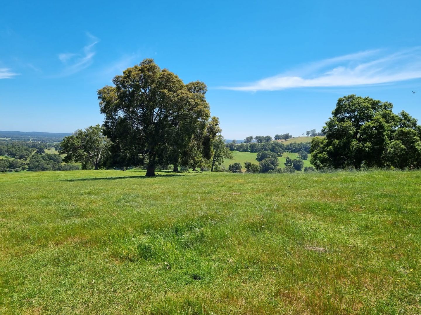 Lot 100 Coalfields Highway, Roelands WA 6226, Image 2