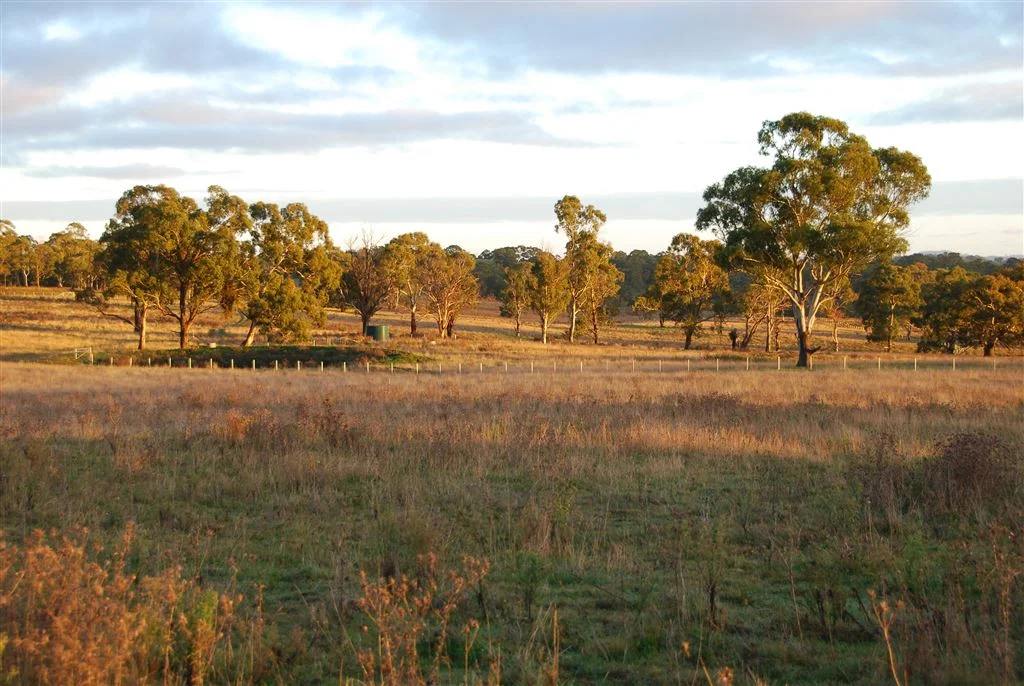 Image 9