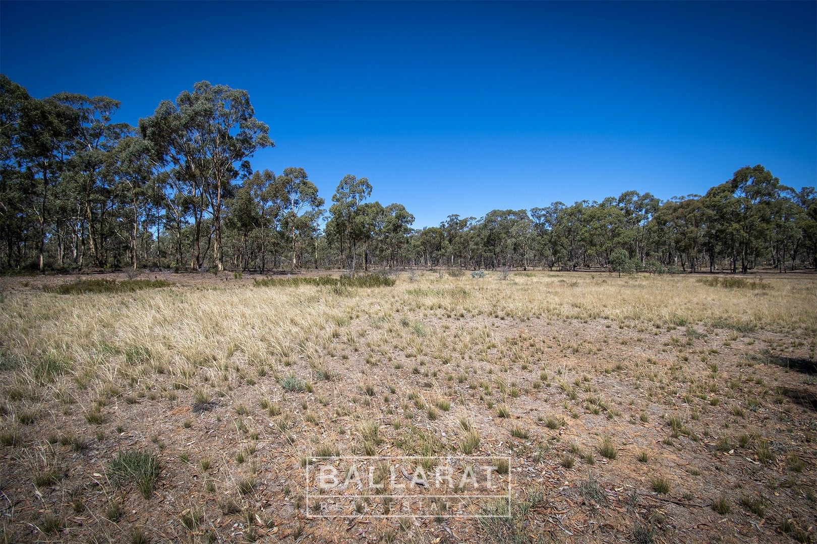 193 Bridgewater-Dunolly Road, Dunolly VIC 3472, Image 0