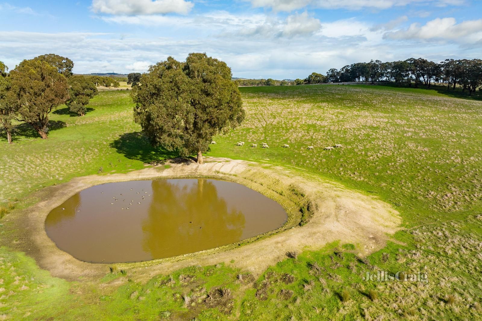 Lot 86 Surface Hill Lane, Raglan VIC 3373, Image 2