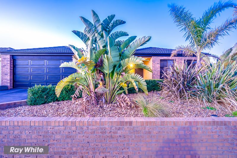 19 Kulin Dr, Tarneit VIC 3029 House For Rent 560 Domain