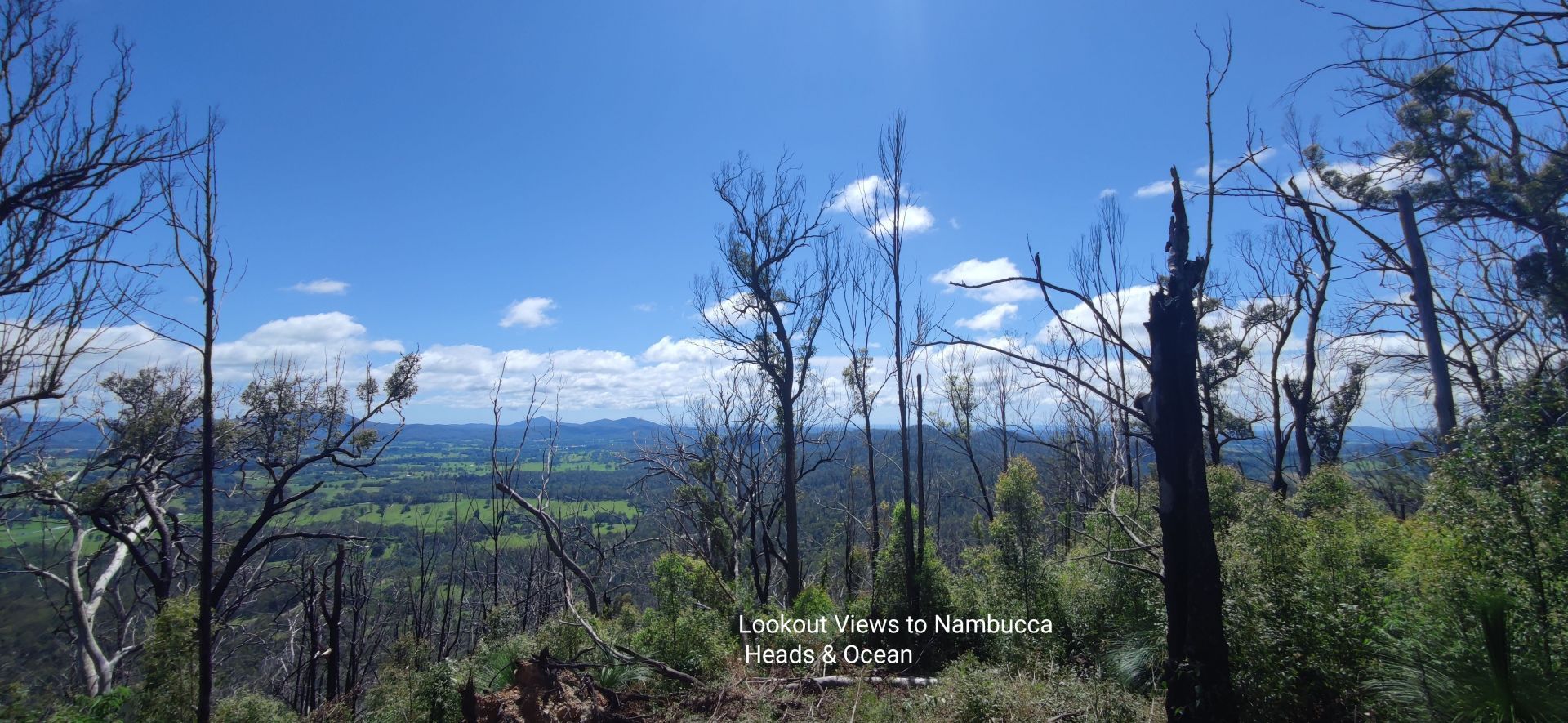 South Arm NSW 2449 Vacant Land for Sale 1,360,000 Domain