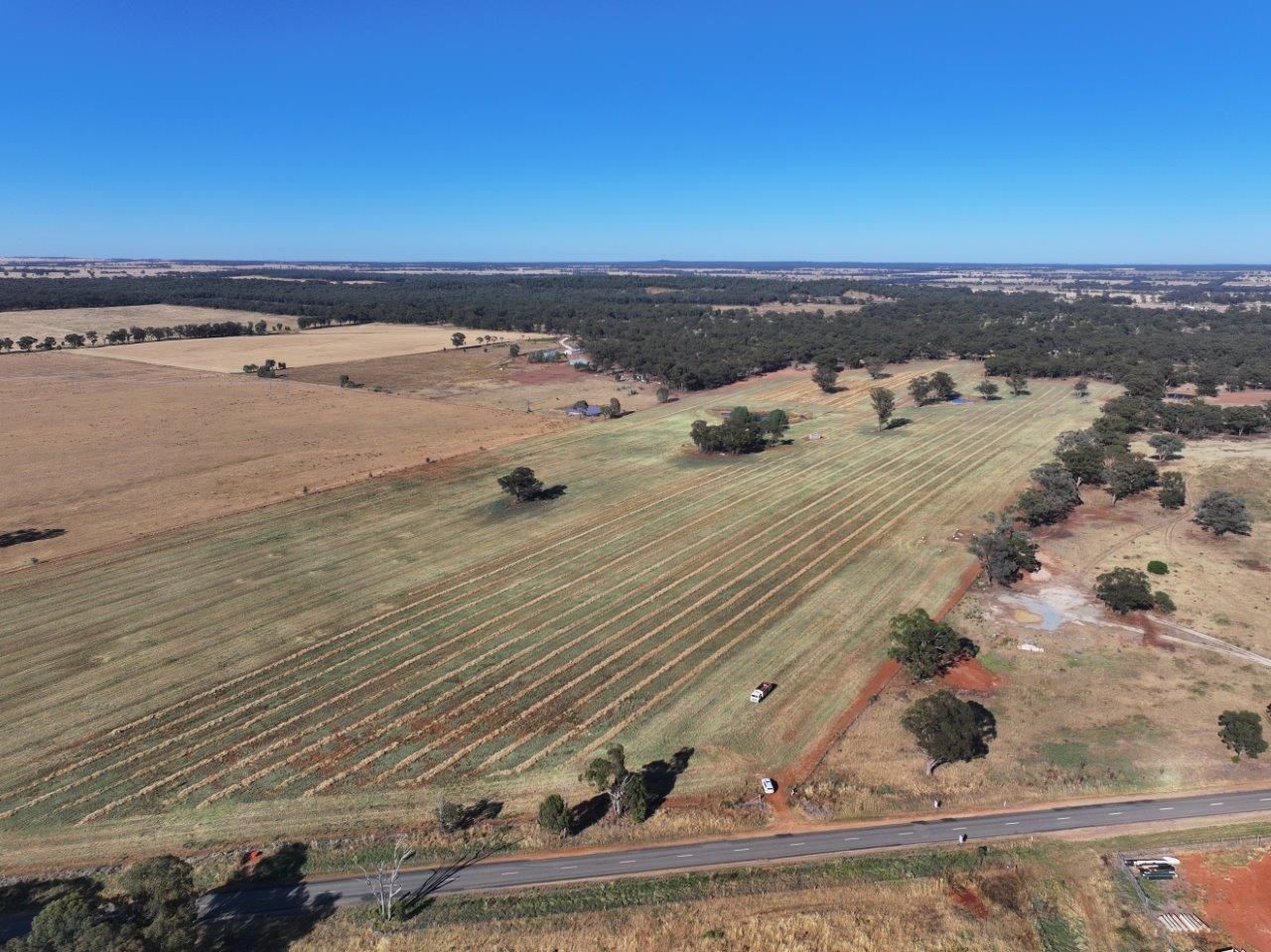 4545 Old Cootamundra Rd, Temora NSW 2666 House for Sale Domain