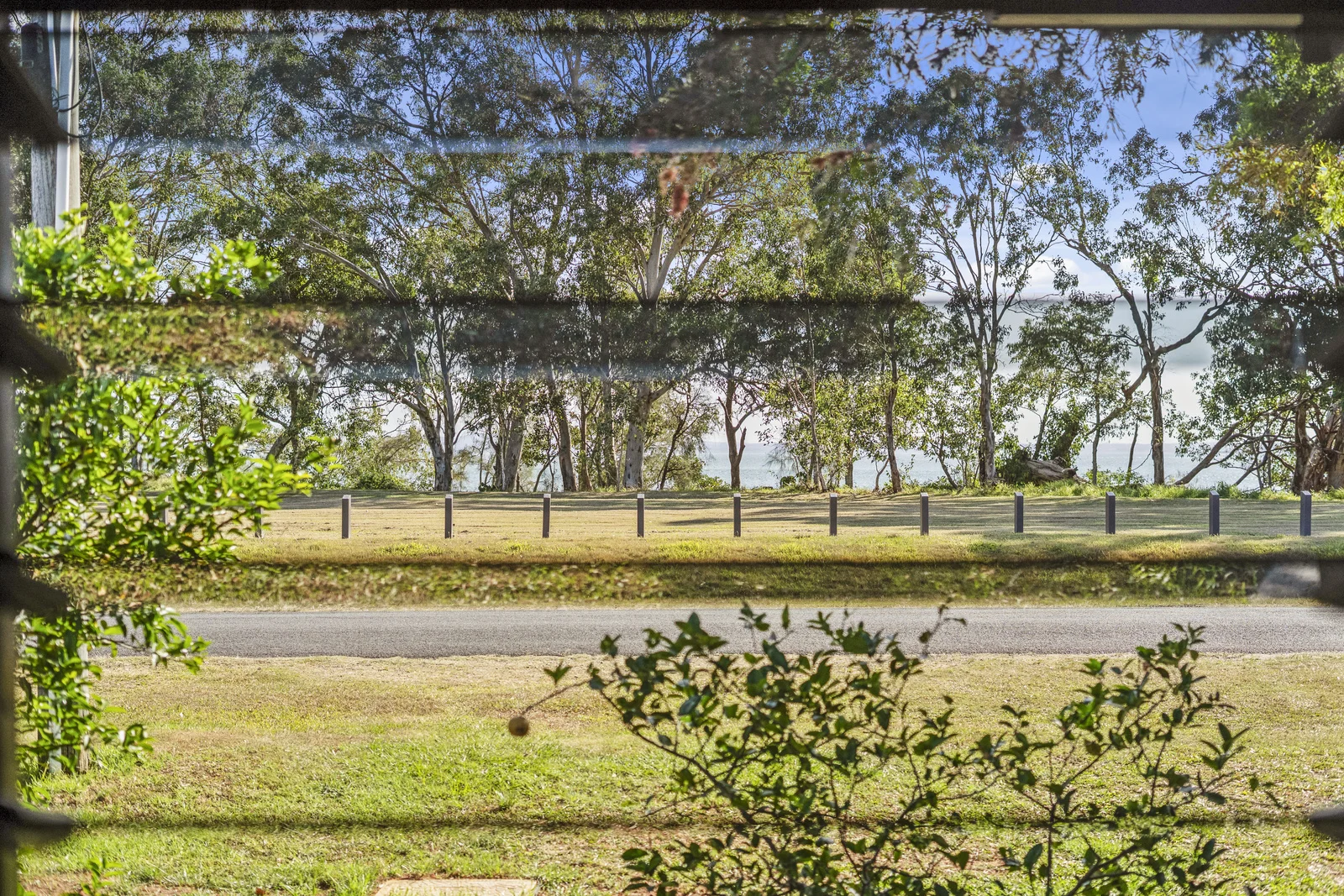 Image 39