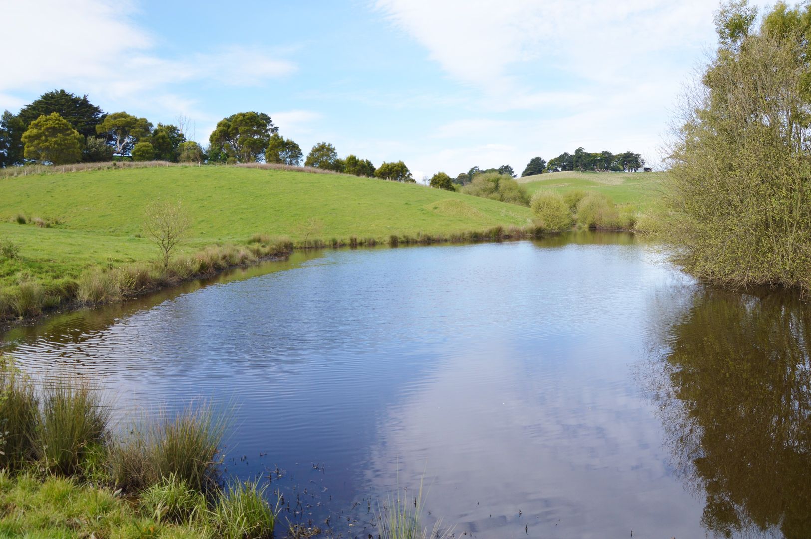 500 Buffalo North Road, Buffalo VIC 3958 House for Sale 940,000