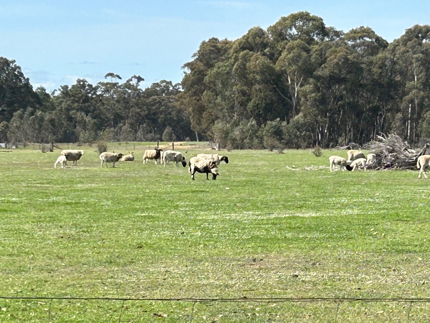 Vacant land in 104 Parkers Road, MOLIAGUL VIC, 3472