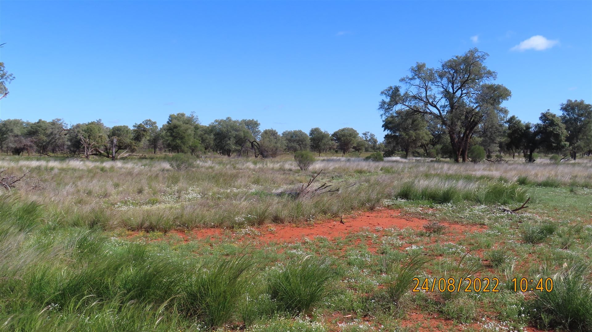 * East Weelong, Louth NSW 2840, Image 1