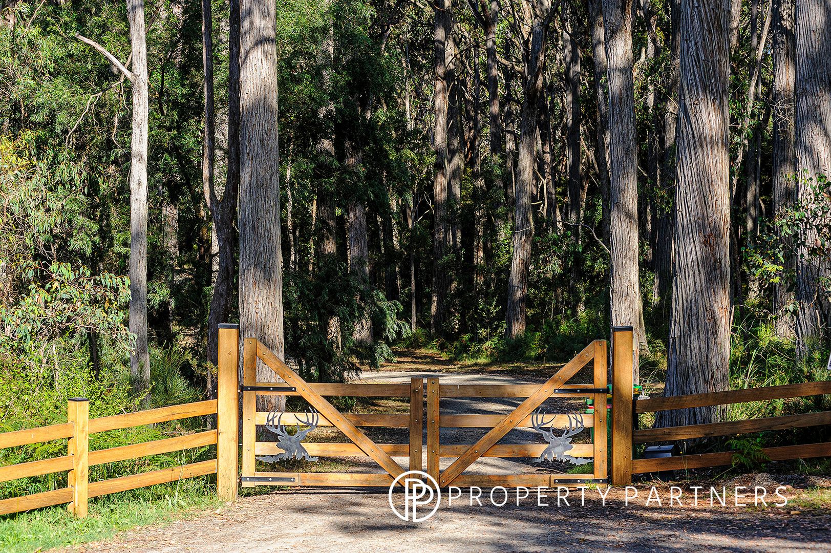 245 Eacotts Road, Hoddles Creek VIC 3139, Image 1