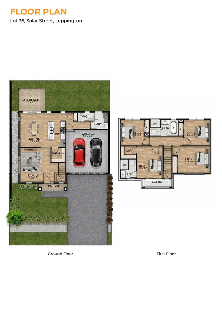 Image 5