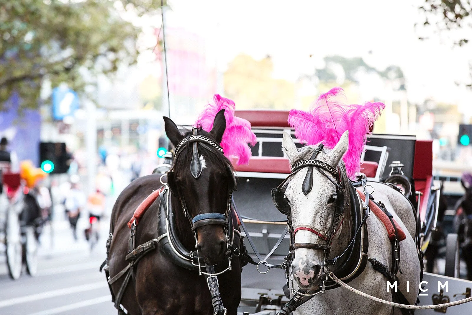 Additional image 19 of 1302/68 La Trobe Street, Melbourne VIC 3000