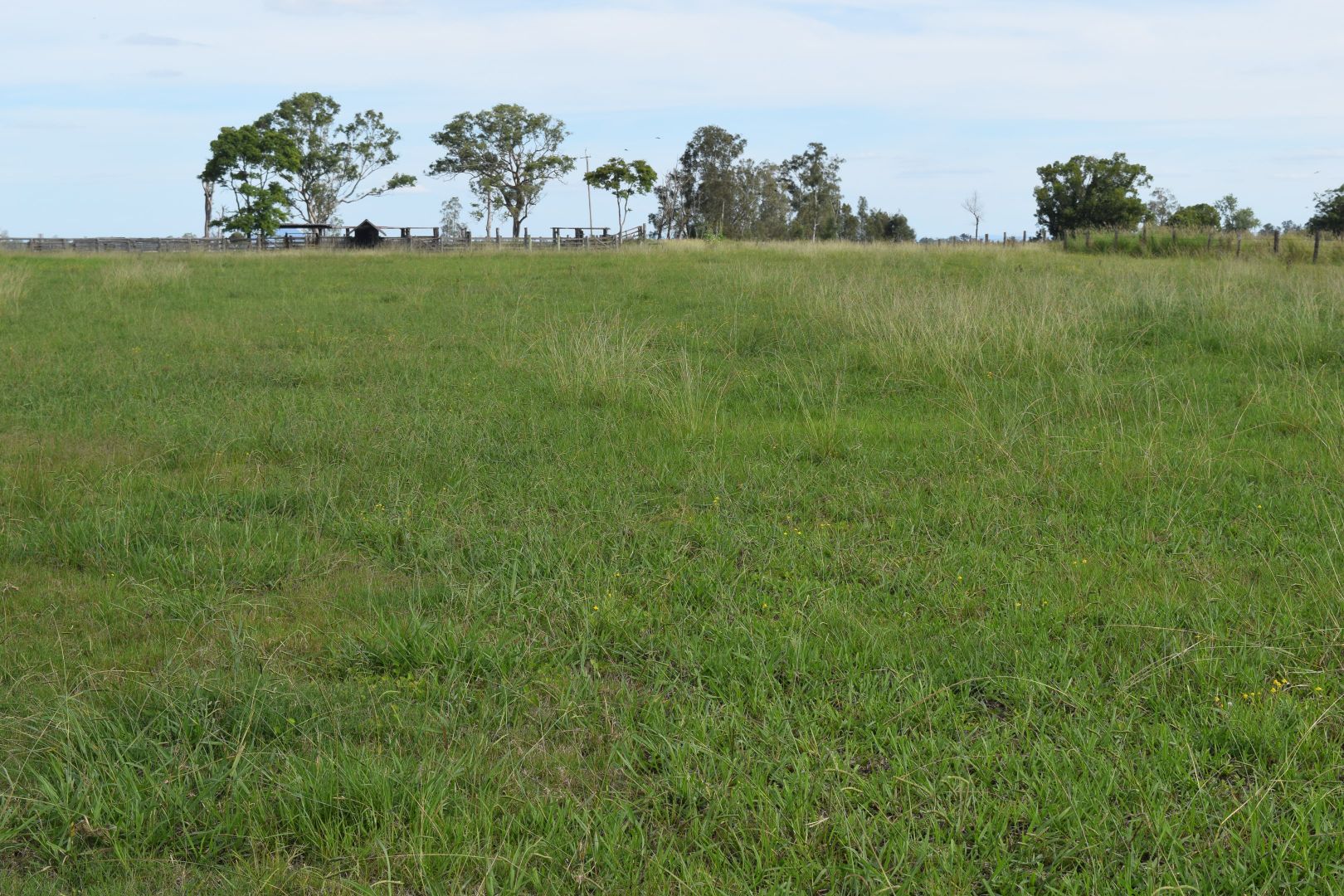 Lot 225 Lower Coldstream Road, Calliope NSW 2462, Image 1