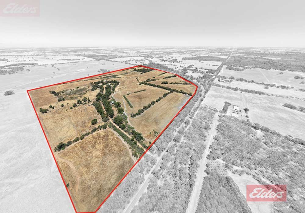 5 bedrooms House in 227 Mokine Road NARROGIN WA, 6312