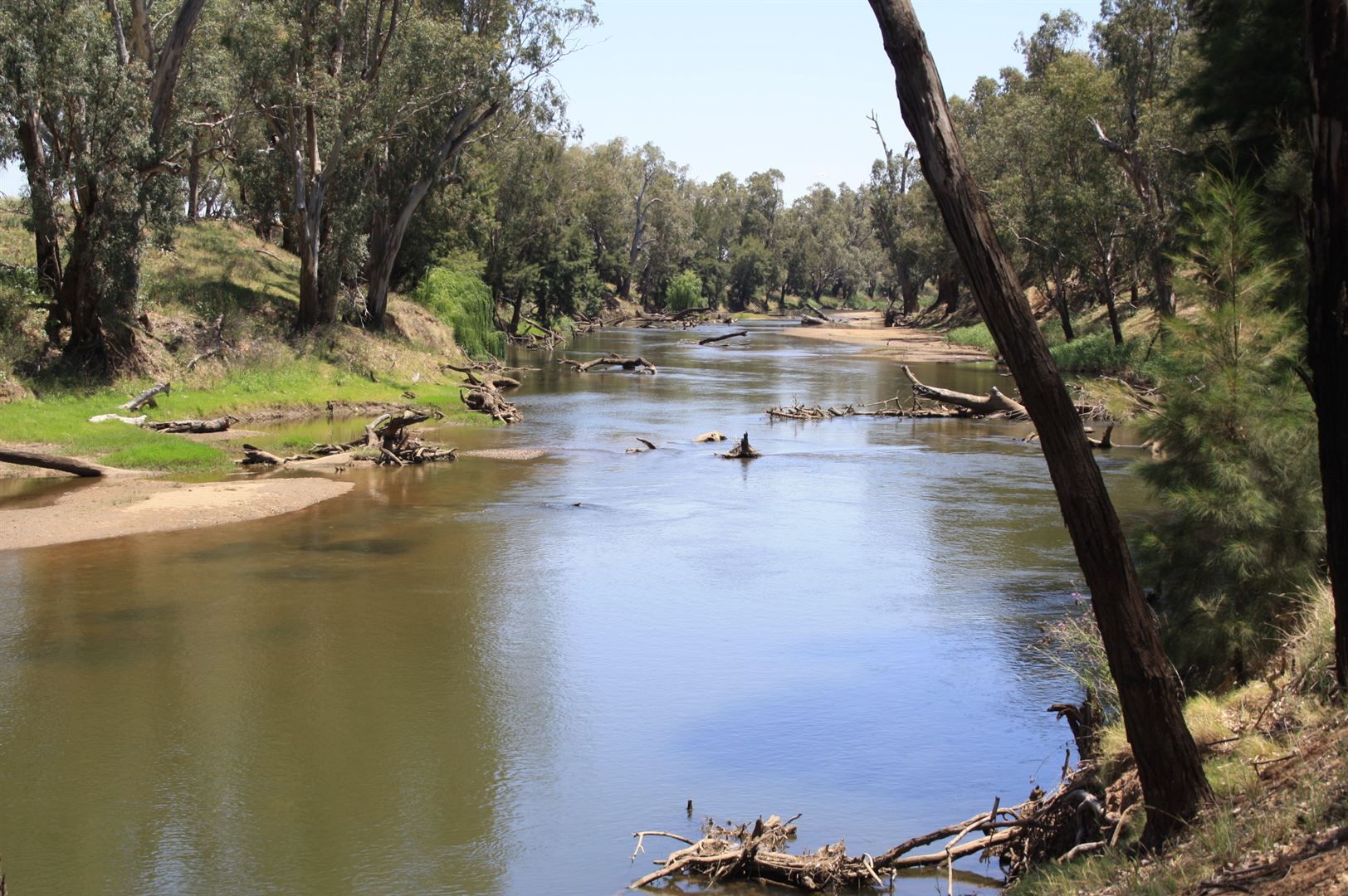 Available On Request, Dubbo NSW 2830 - Farm for Sale | Domain
