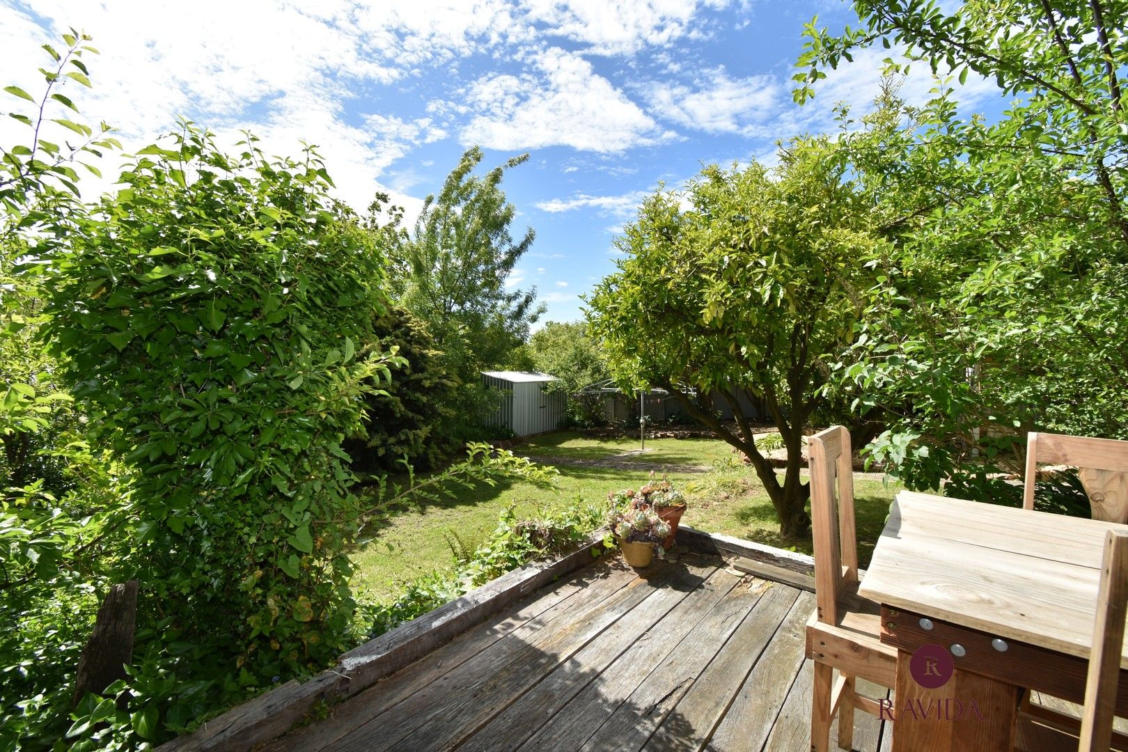 19 BUCKLAND GAP ROAD, Beechworth VIC 3747 Domain